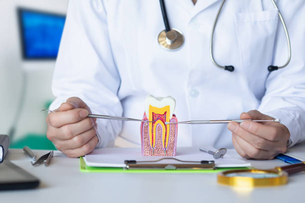 Best Emergency Dental Extractions in North Liberty, IN